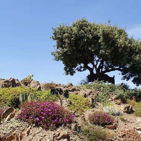 Casa Agradable Bed & Breakfast
