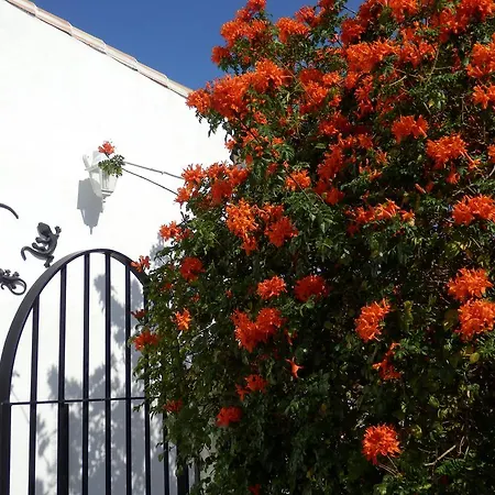 Casa Agradable Bed & Breakfast